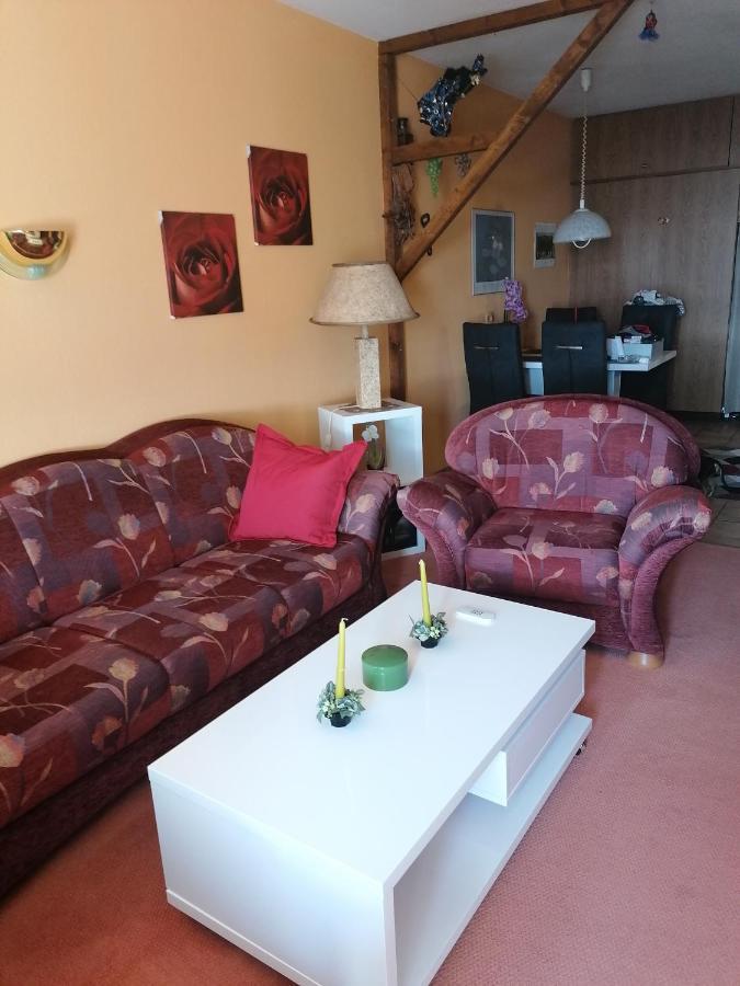 Harz Stube Apartment Goslar Exterior photo
